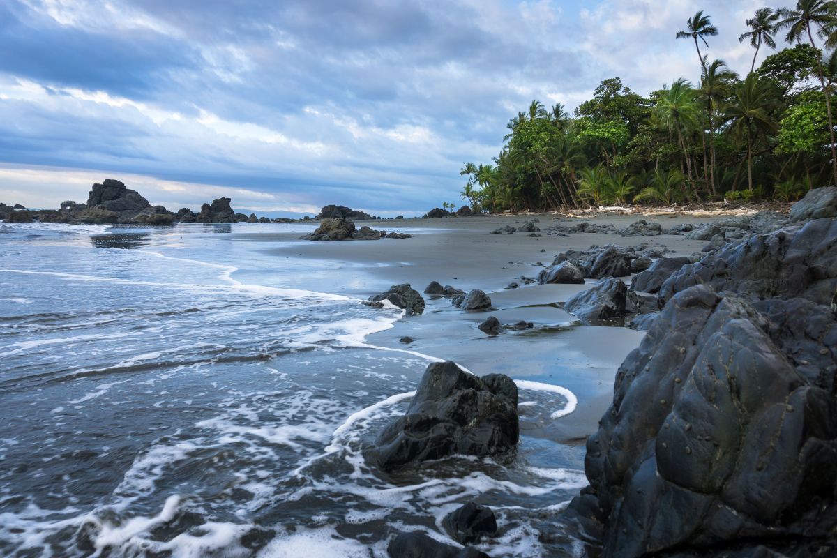 The 14 Most Exotic Black Sand Beaches In The Worldthe World S Greatest Vacations